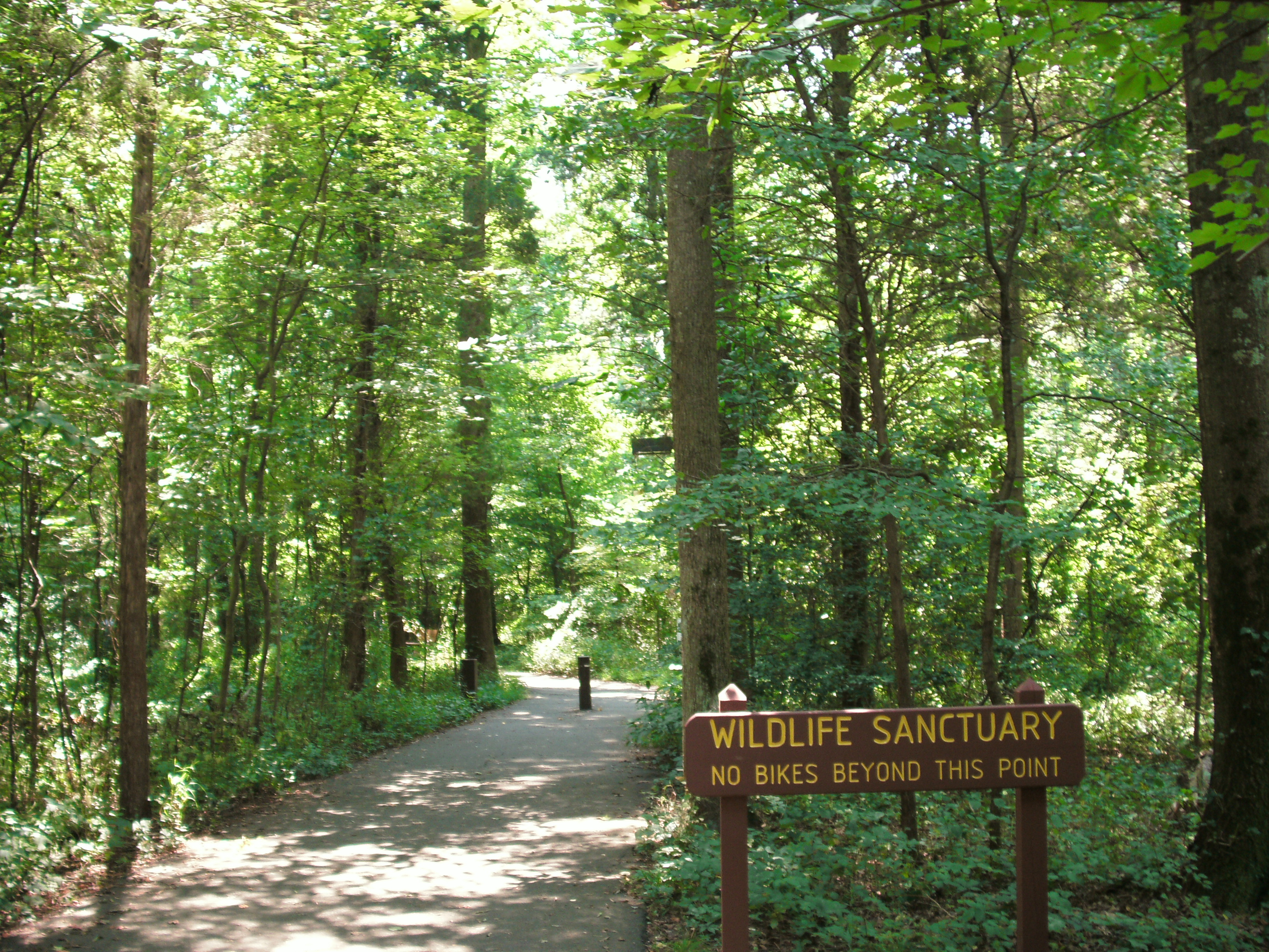 Woods Entry to Huntley Meadows Park. Image by User:AlbertHerring - Image taken by me for Wikipedia, CC BY 3.0, https://commons.wikimedia.org/w/index.php?curid=14572150