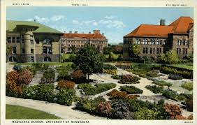 Dean Wulling also established a medicinal plant garden on the current site of Northrop Auditorium