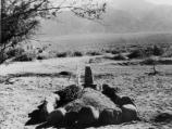 The first grave in the cemetery at Manzanar is that of Matsunosuke Murakami, 62. He had arrived ill on arrival on March 23, 1942, was hospitalized in camp, and died of heart disease on May 16, 1942.