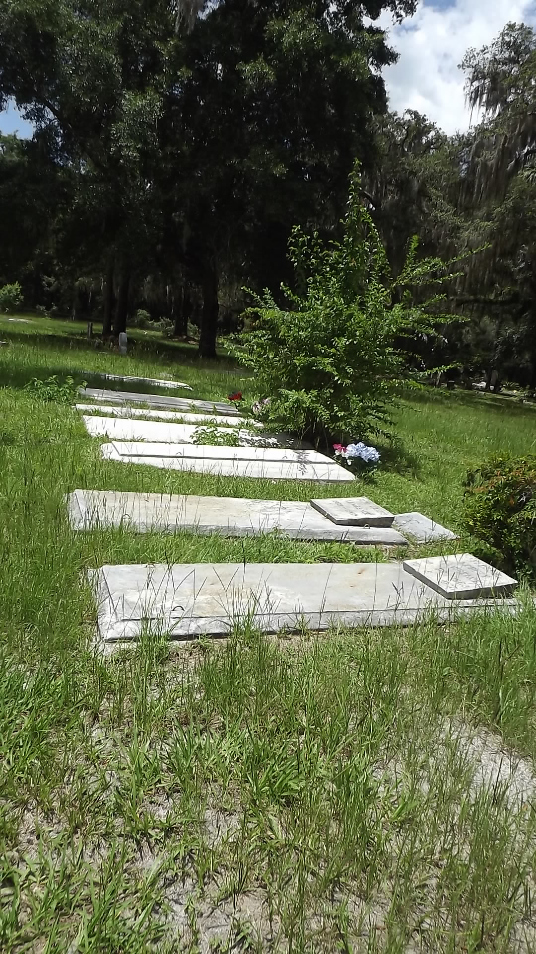 Graves in the Cemetery