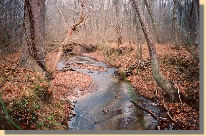 Sailor's Creek, for which the battle was named 
