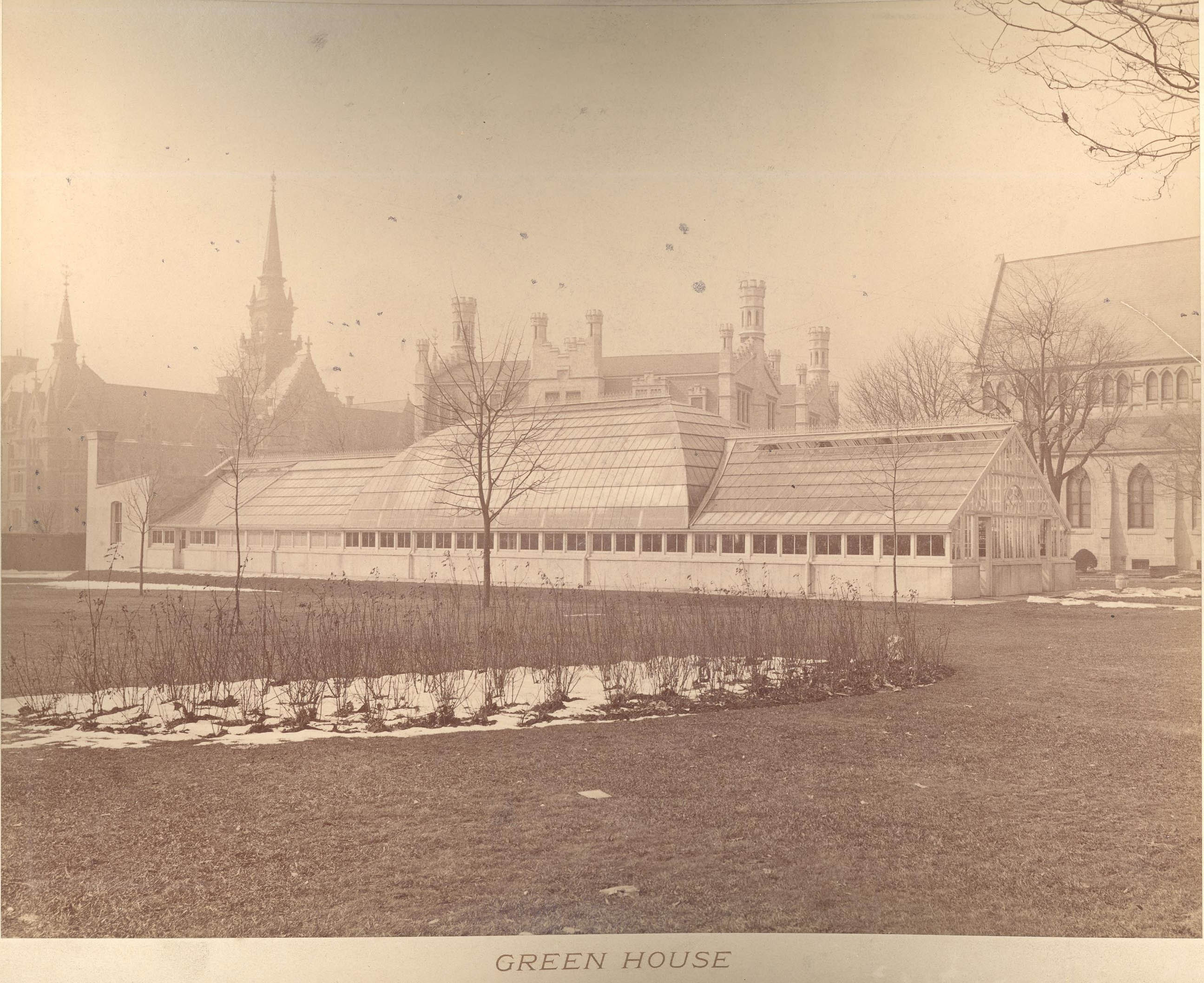 Greenhouse formerly on site of High School, 1893