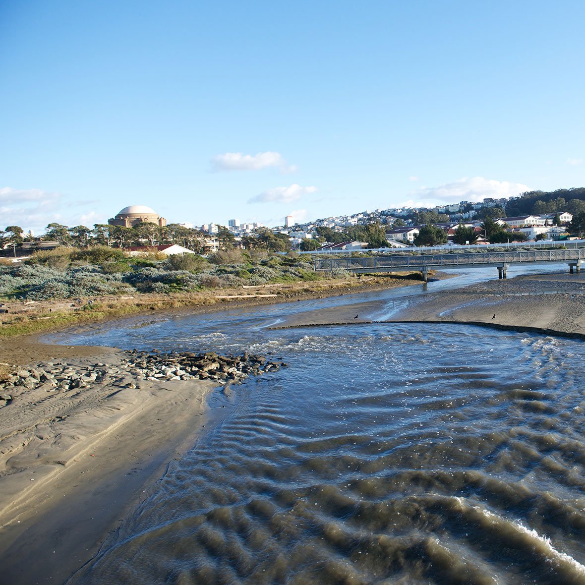 Lagoon at Crissy Field Marsh
