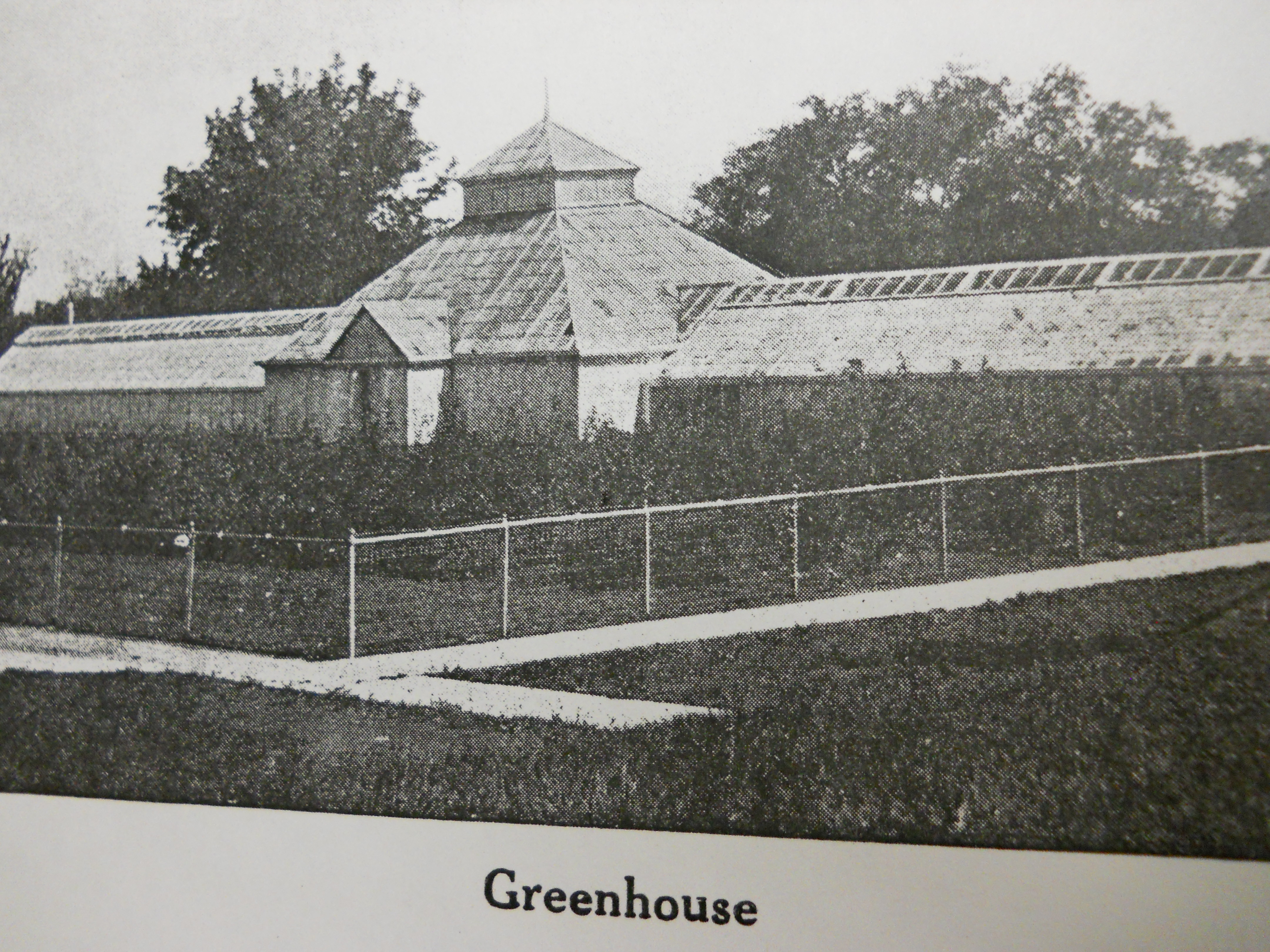 Greenhouse 1919.  Courtesy of Glenwood Public Library.