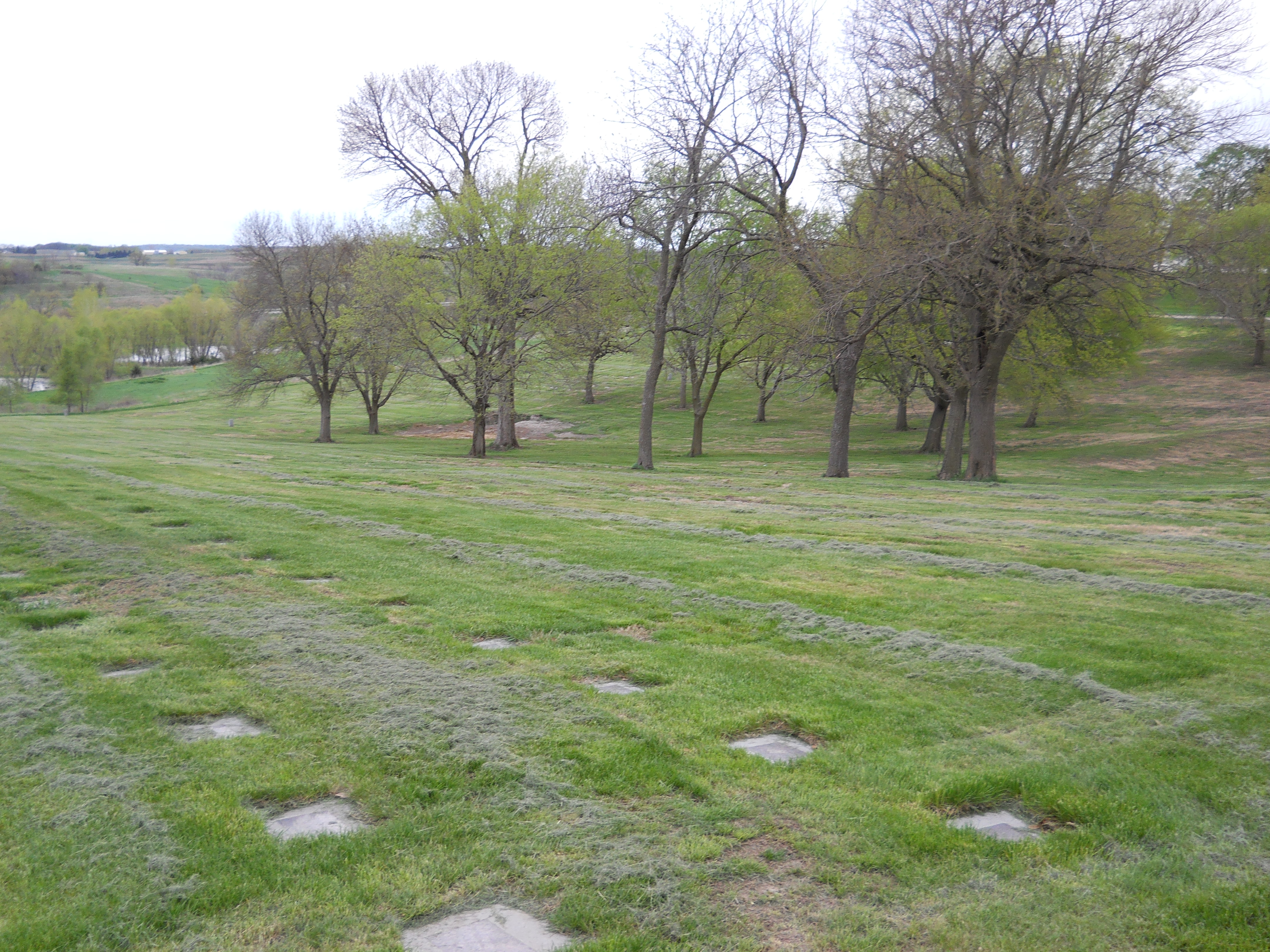 Asylum cemetery facing southeast.