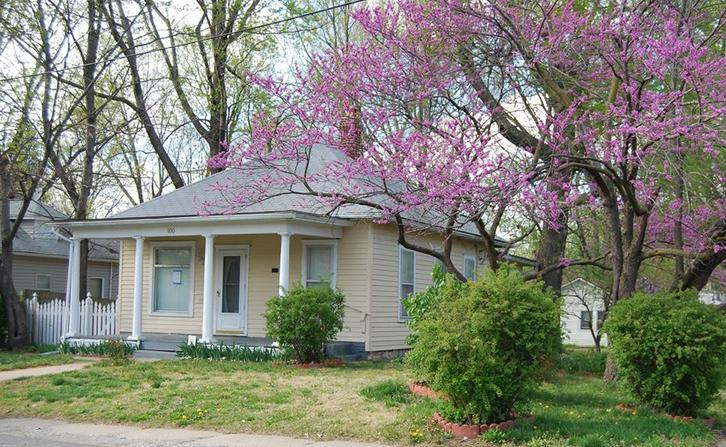 House, Tree, Plant