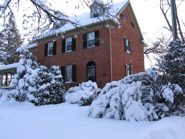 Winter, Branch, Window, Property