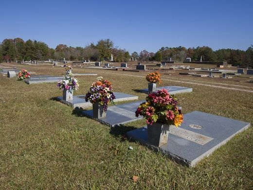 The "White Section" of Hamiton Cemetery has been well-maintained and there is clear legal ownership and responsibility for maintenance.