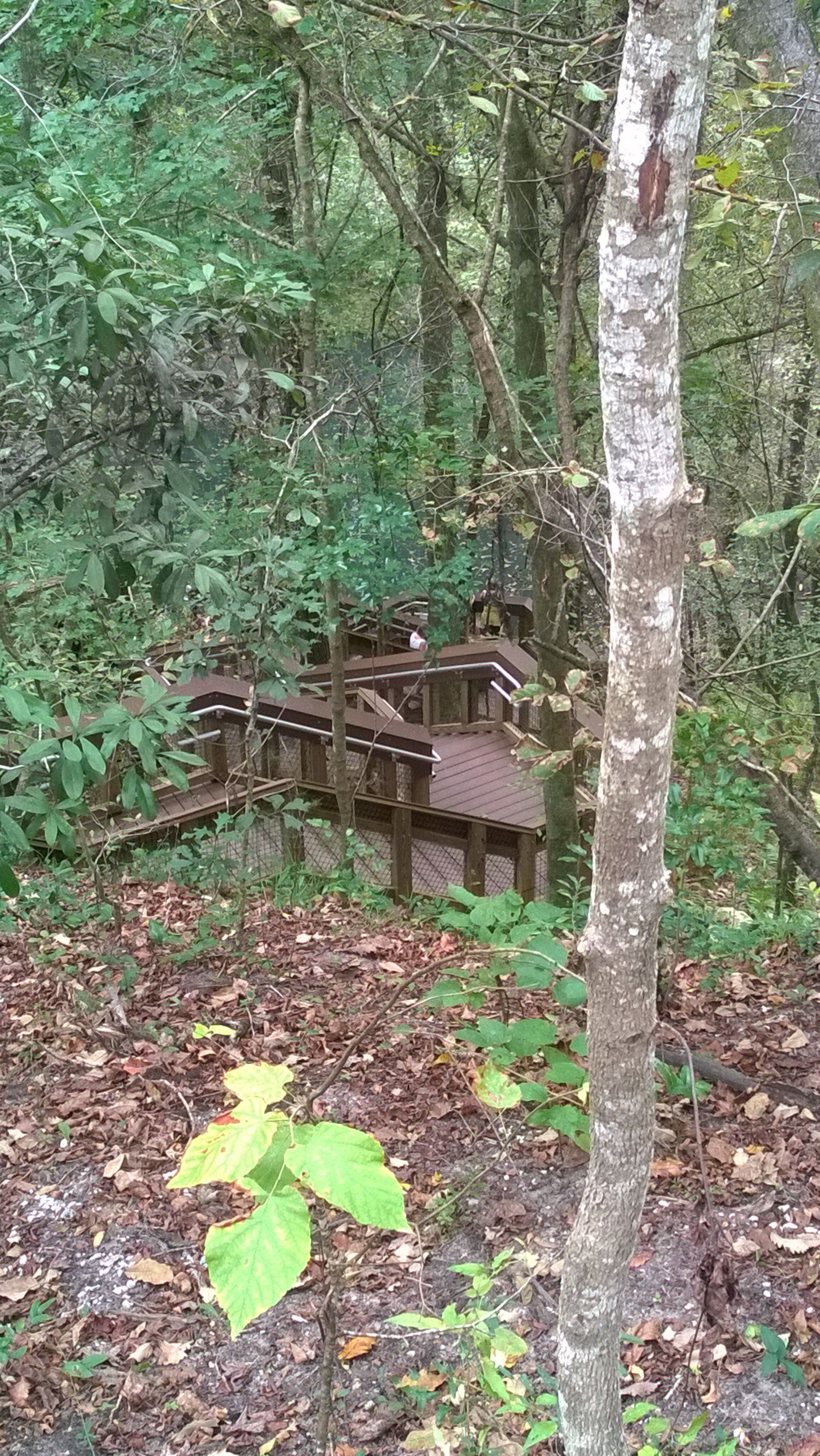 A view of the stairways from the landing.