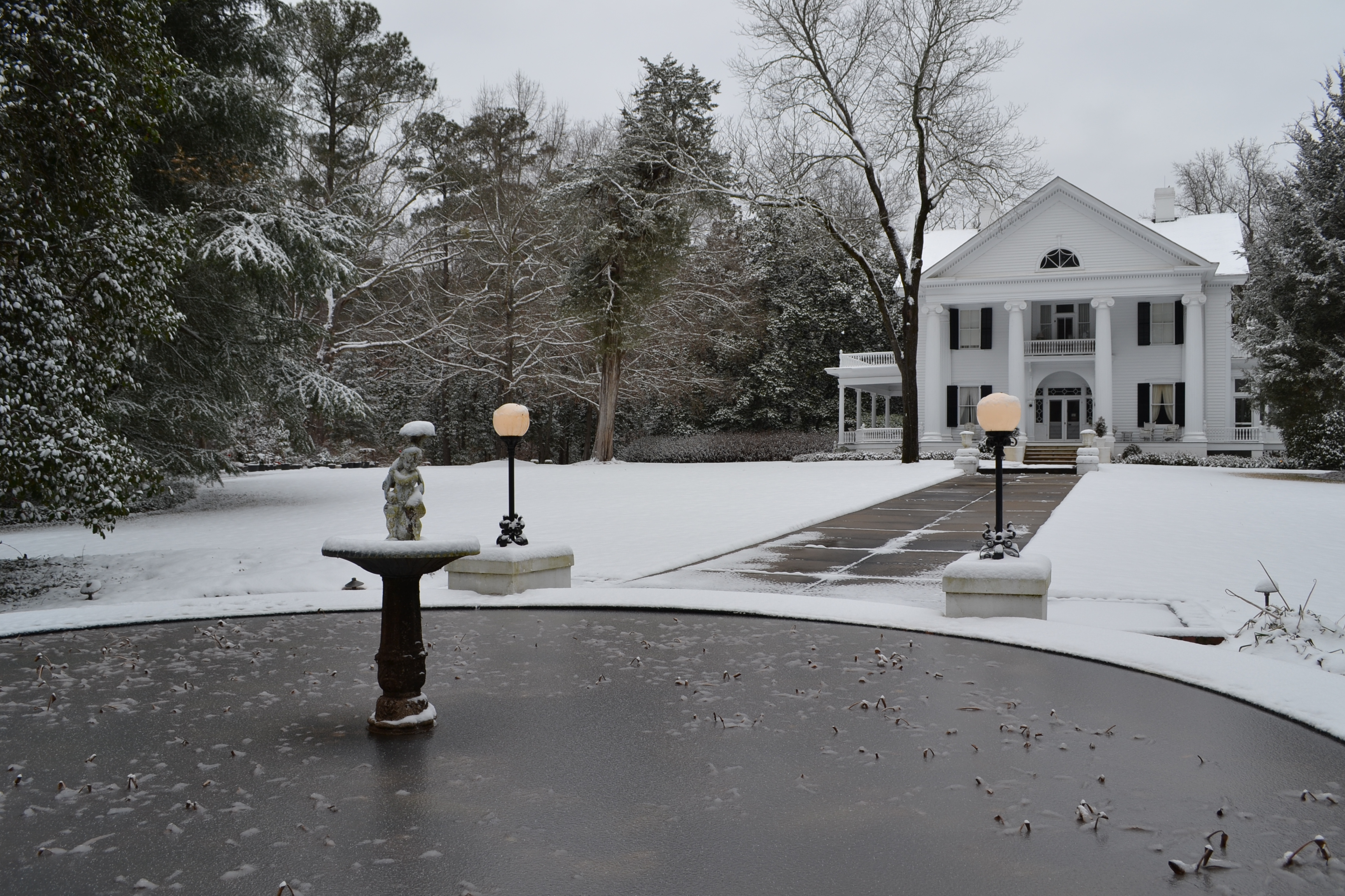 Rare Winter Snow