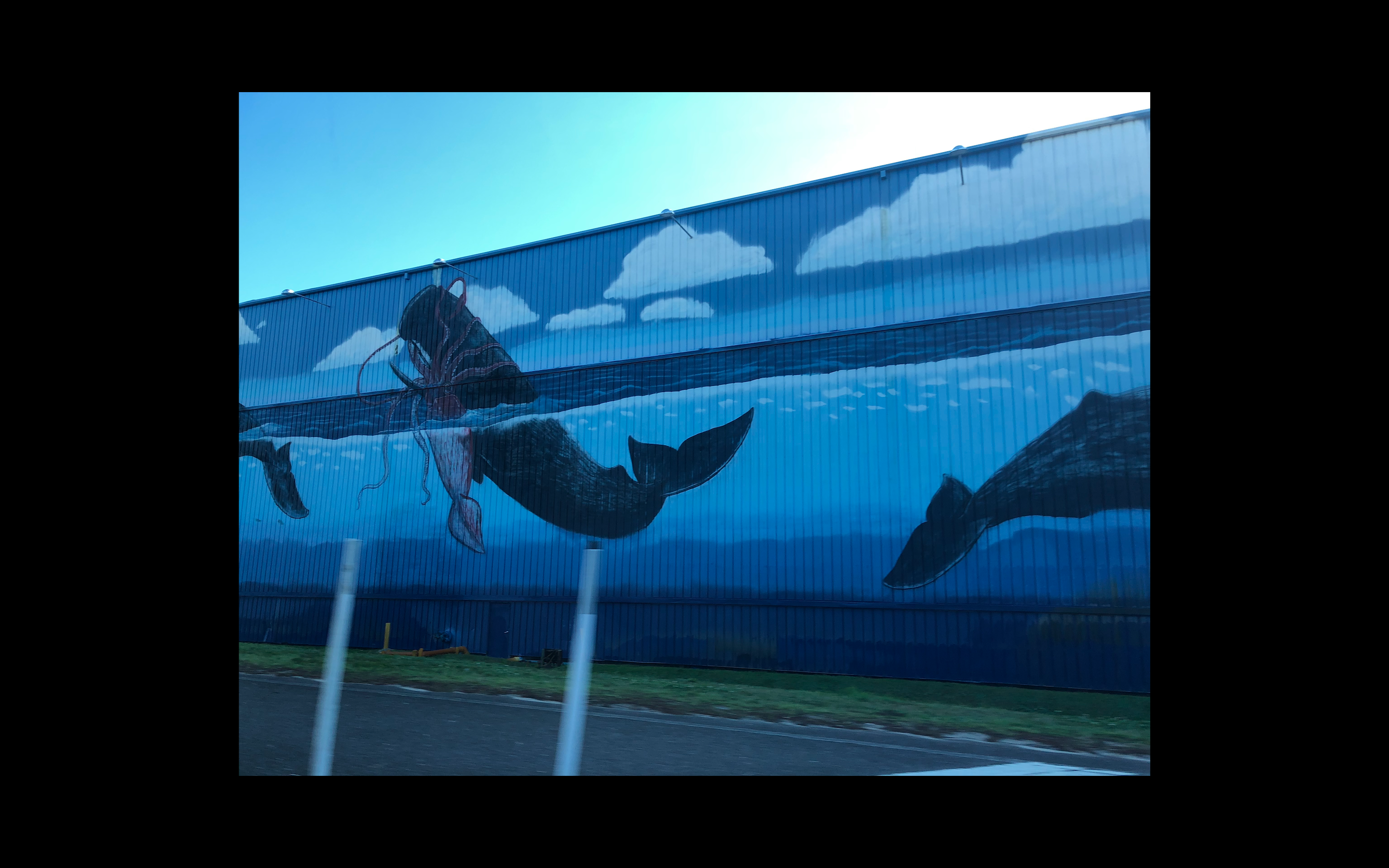 whale wall 1