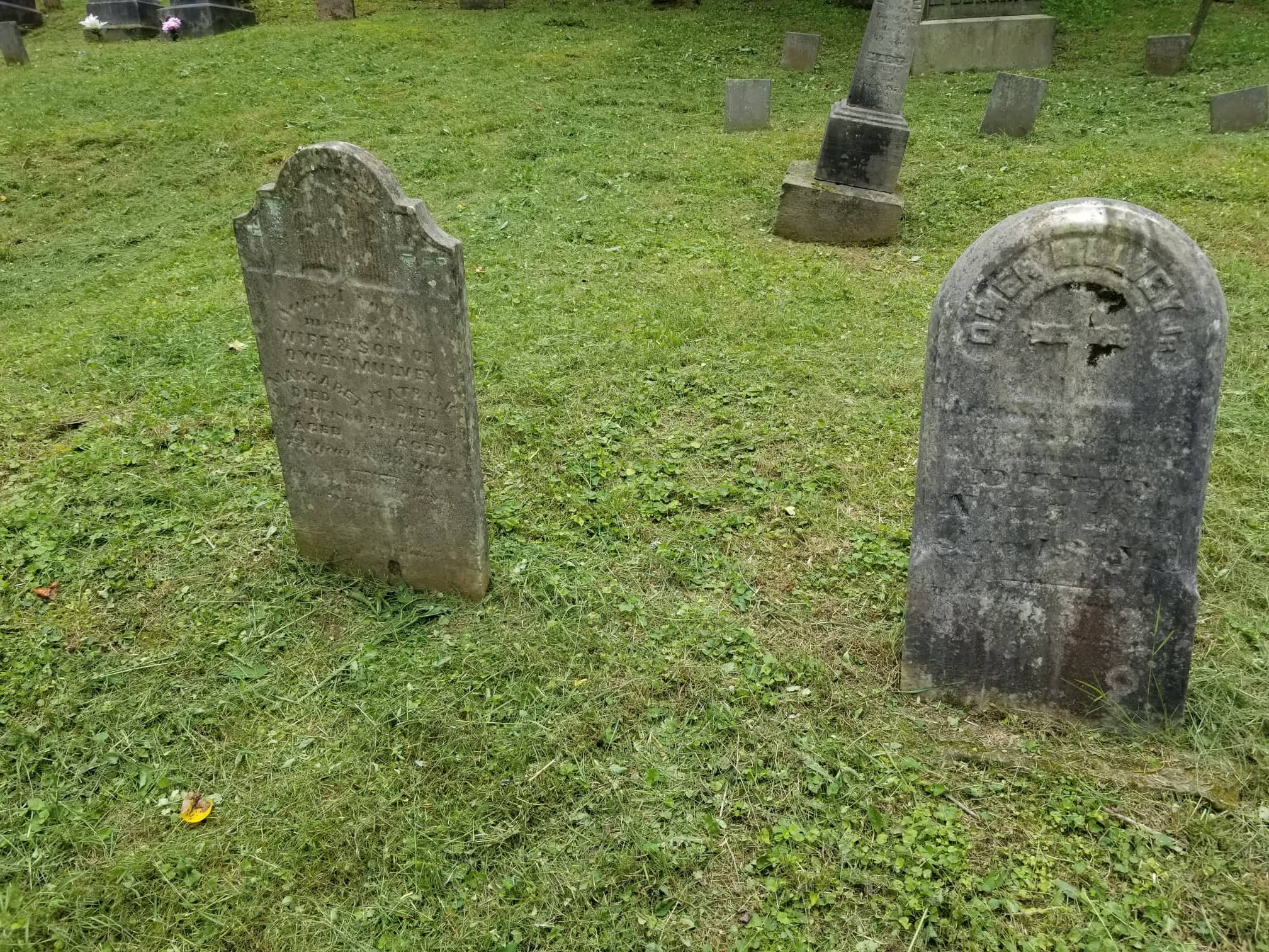 Plant, Cemetery, Grave, Headstone