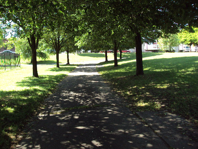 Path through the Park