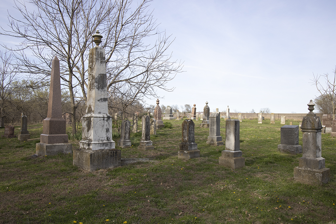 Sky, Plant, Cloud, Cemetery
