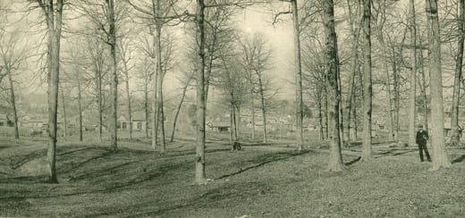 Black and white photo of Dunn Woods with homes that can be seen through the woods and a man standing on a boardwalk to the right