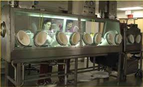 Researchers carefully study microbes