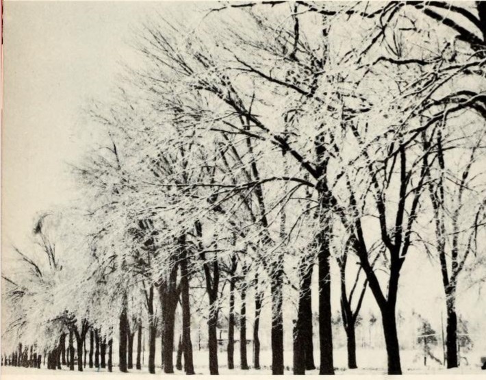 Abbey Lane in winter, 1961