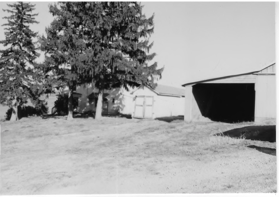 Sky, Tree, Land lot, Black-and-white