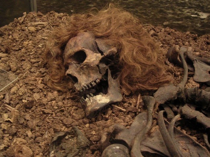 The skeleton of a bog man 
