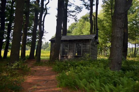 Millay's writing cabin, in which it was considered a capital crime to interrupt her while working.