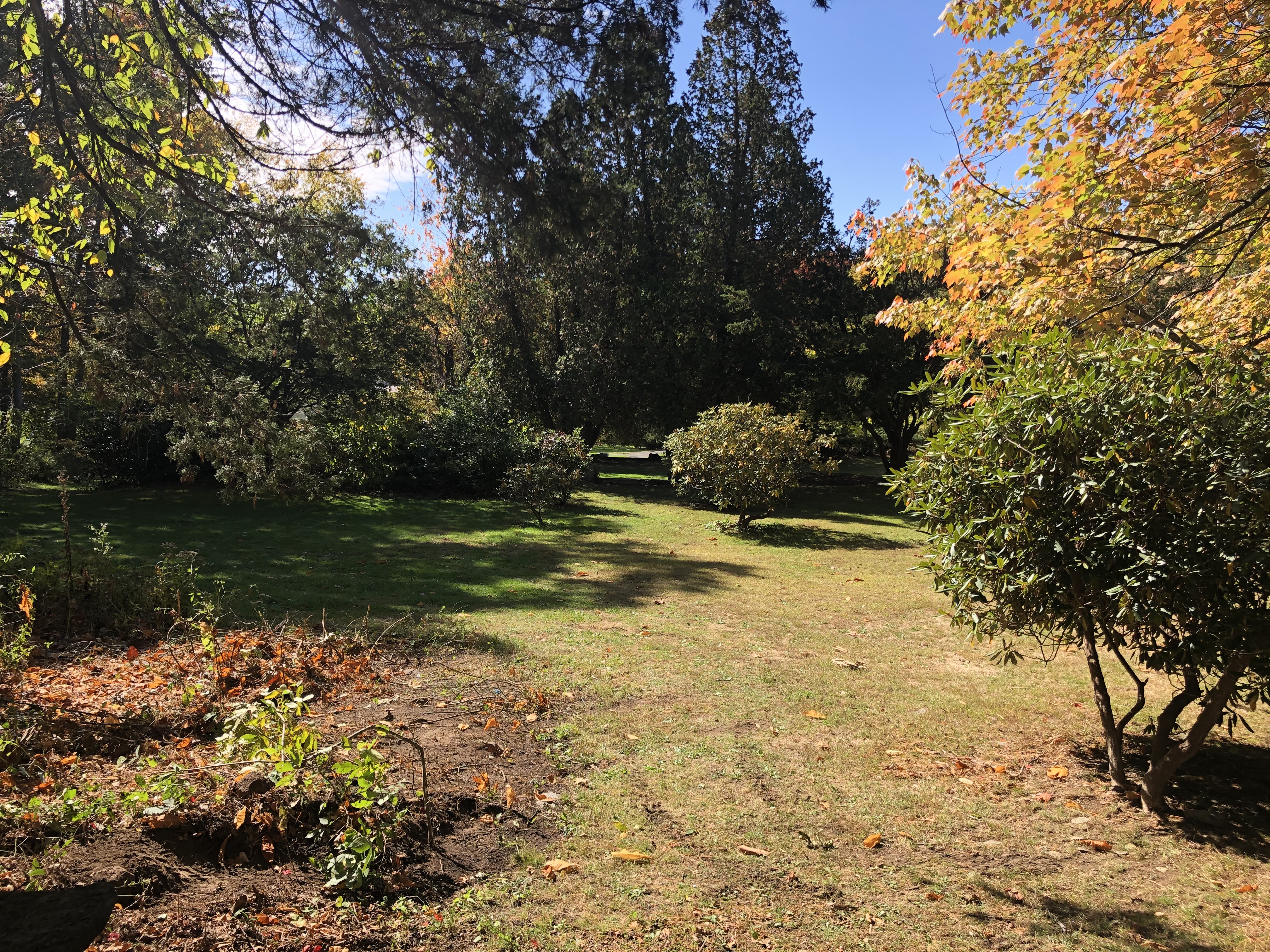 A view from the Greenwood Avenue side of Fulton Park