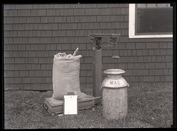 Extension School dairy equipment: feed, scales, milk can, and record, ca. 1920.