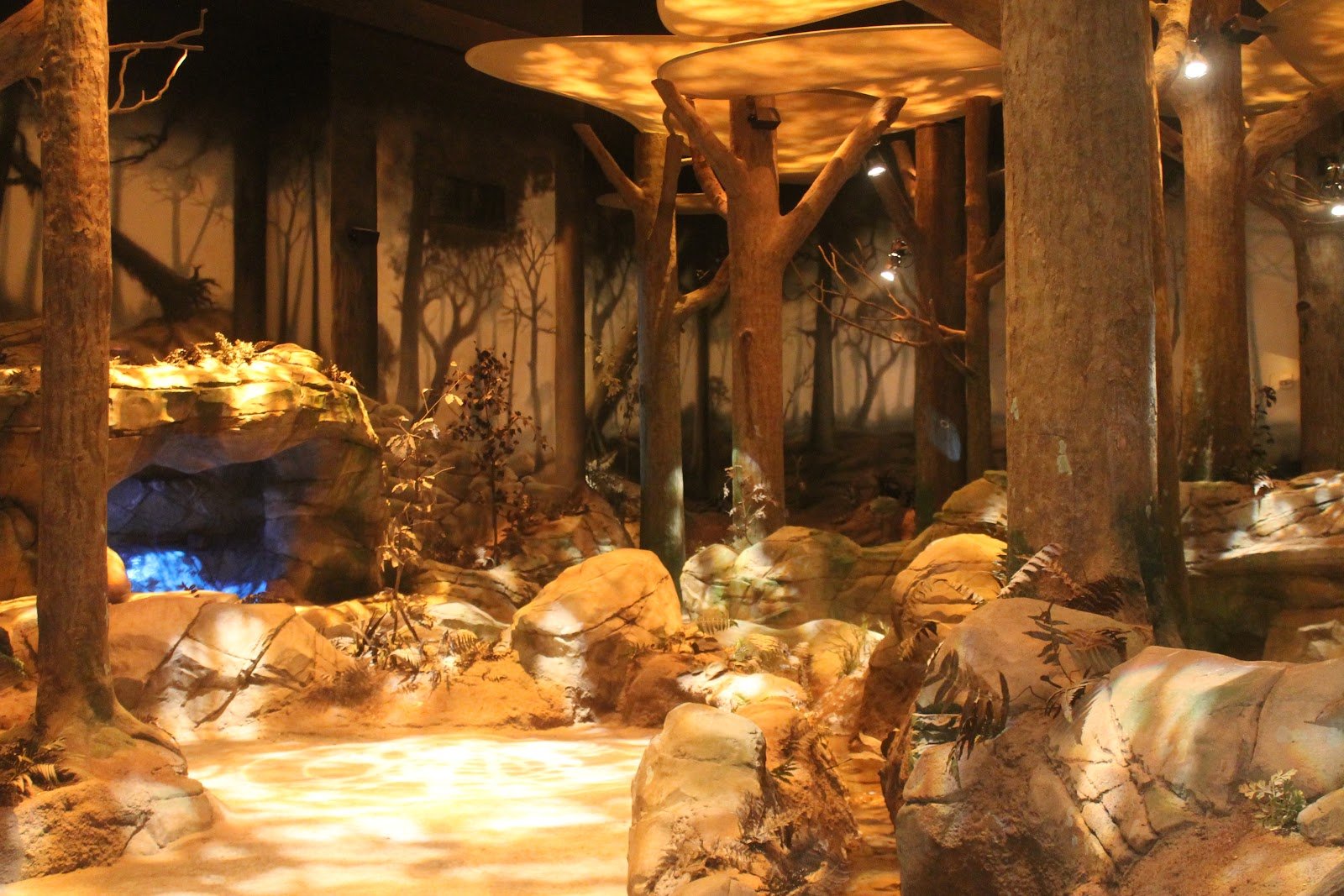 Spirit Forest exhibit (image from American Attractions)