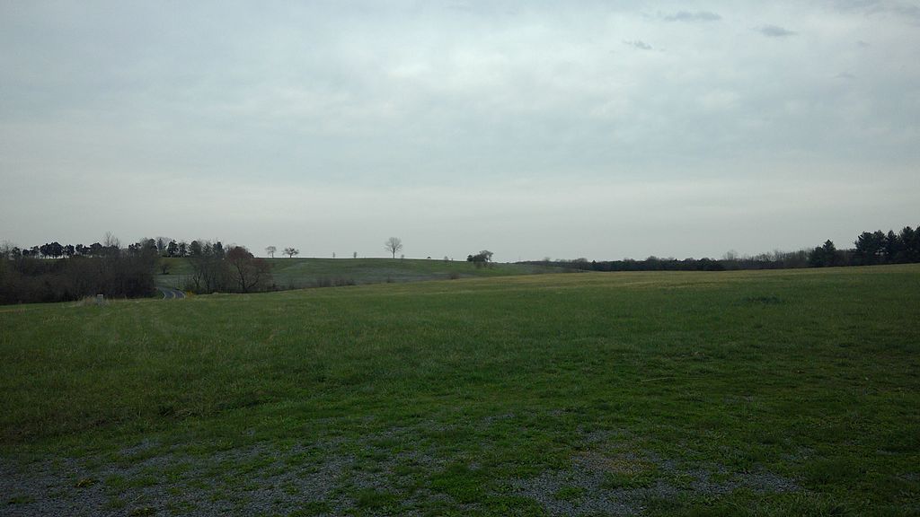 Sky, Cloud, Plant, Natural landscape