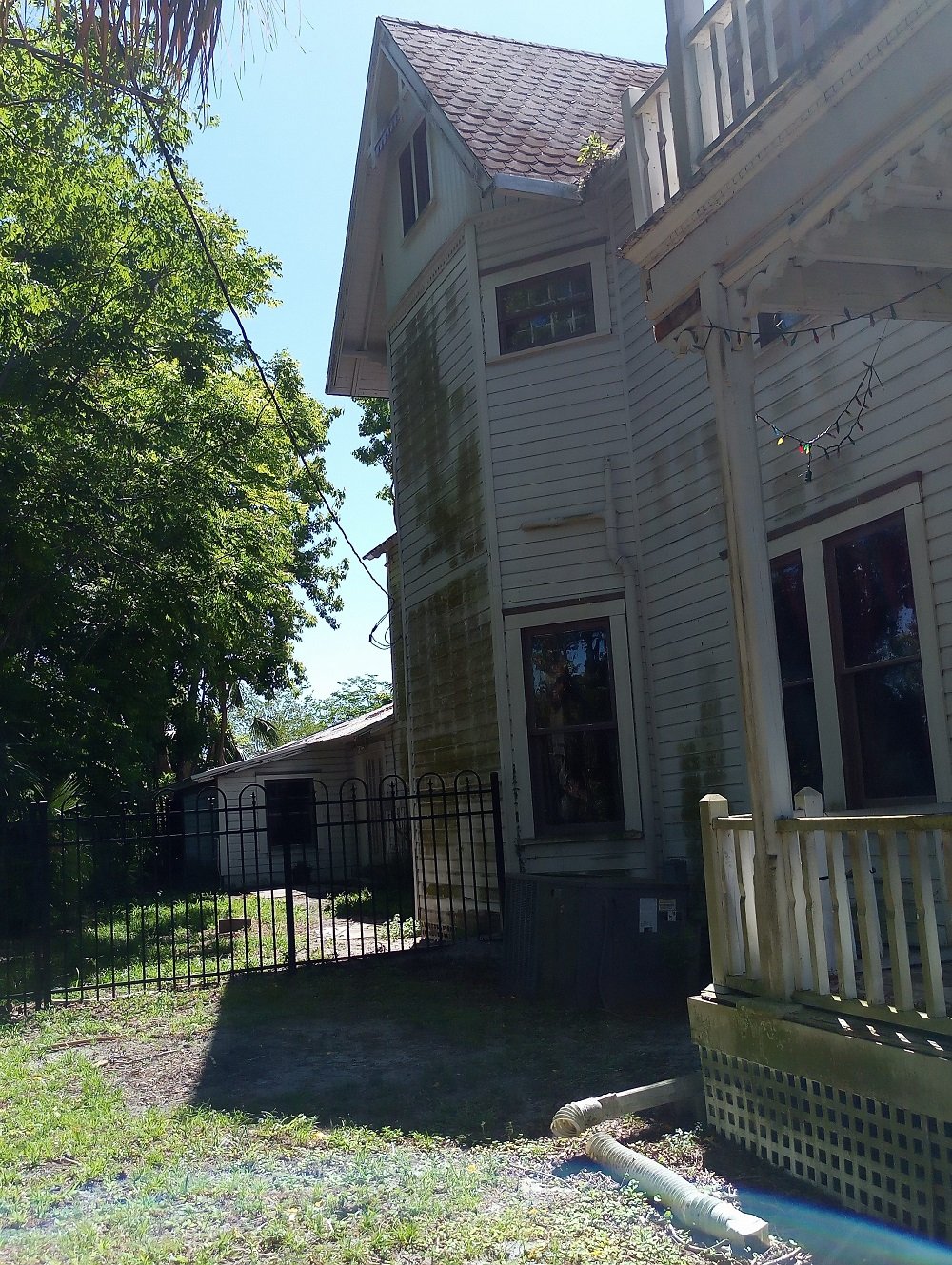 WhitneyWolcott House Clio