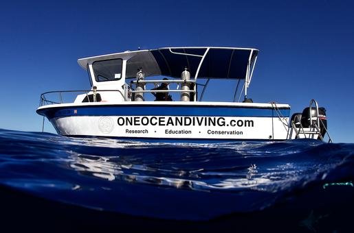 One Oceans Free Dive boat