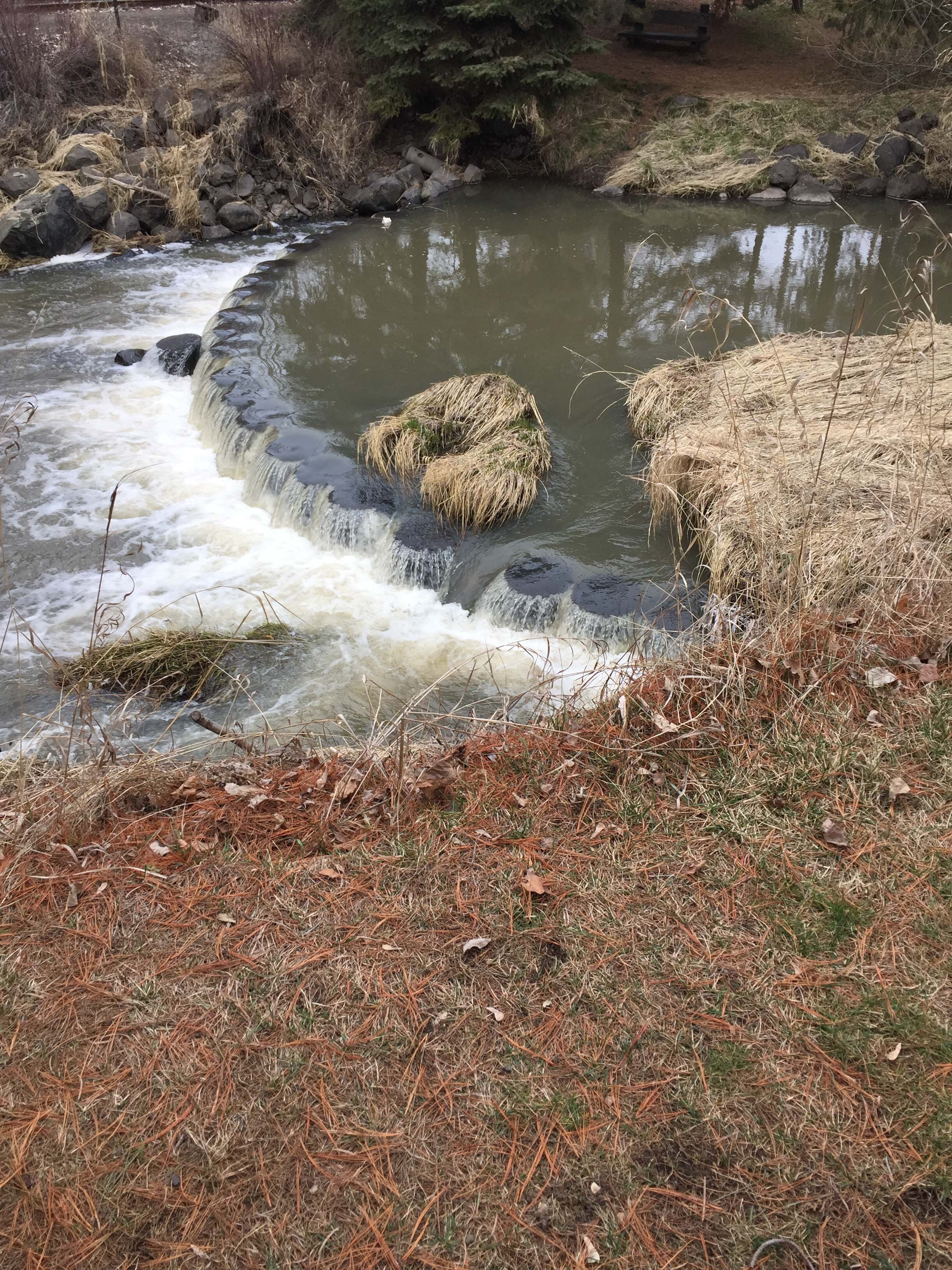 View of the check dam at Reaney Park, taken February 2018.