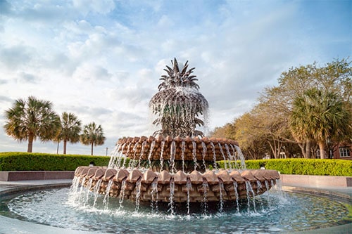 Pineapple Water Fountain (Daytime)