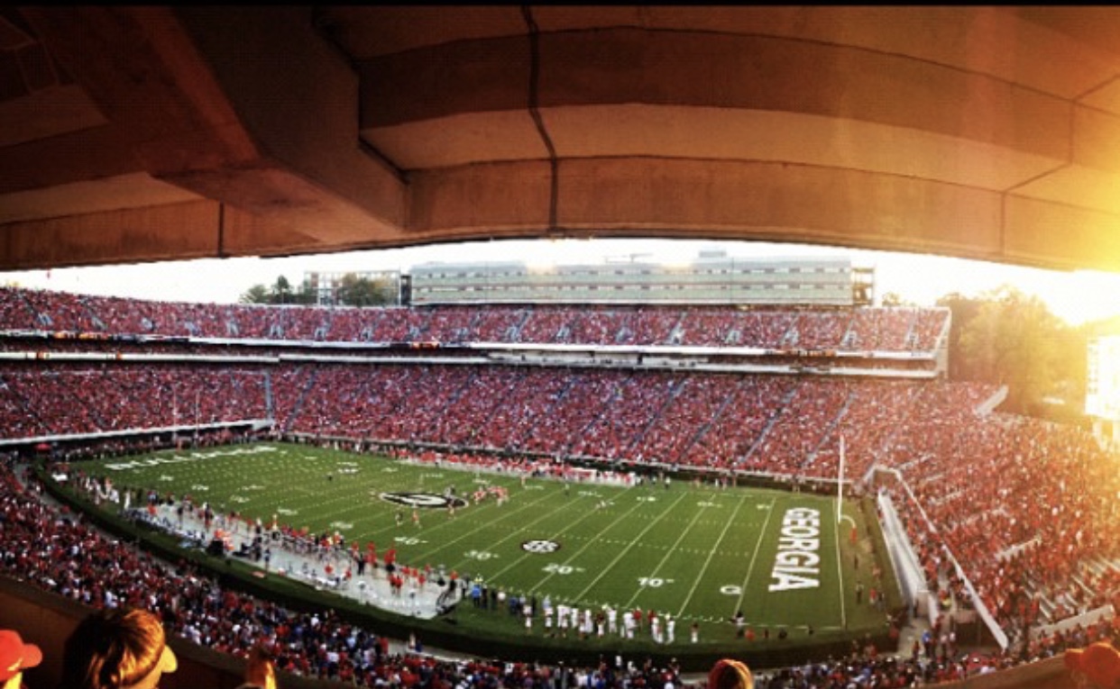 Stadium View