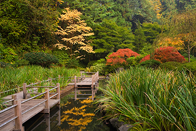 Portland Japanese Garden