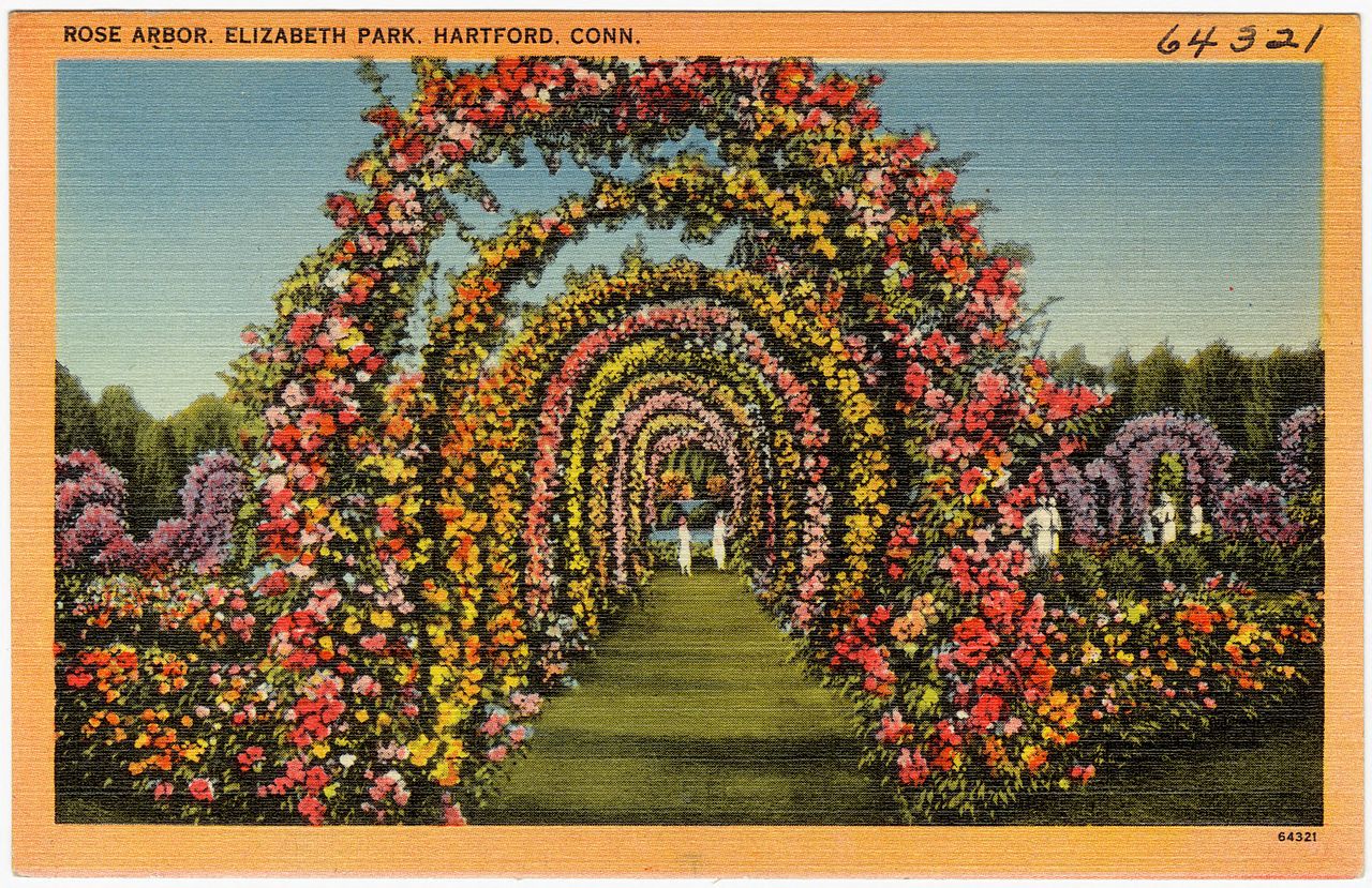 The much-photographed rose arbor - vintage postcard, circa 1930-1945.