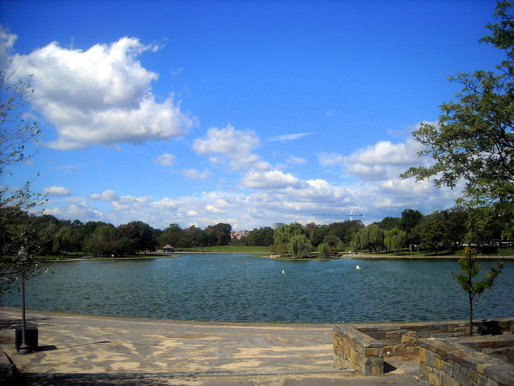 Constitution Gardens Pond