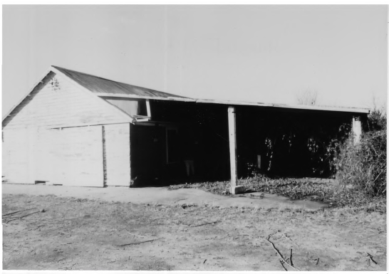 Plant, Land lot, Building, Grass