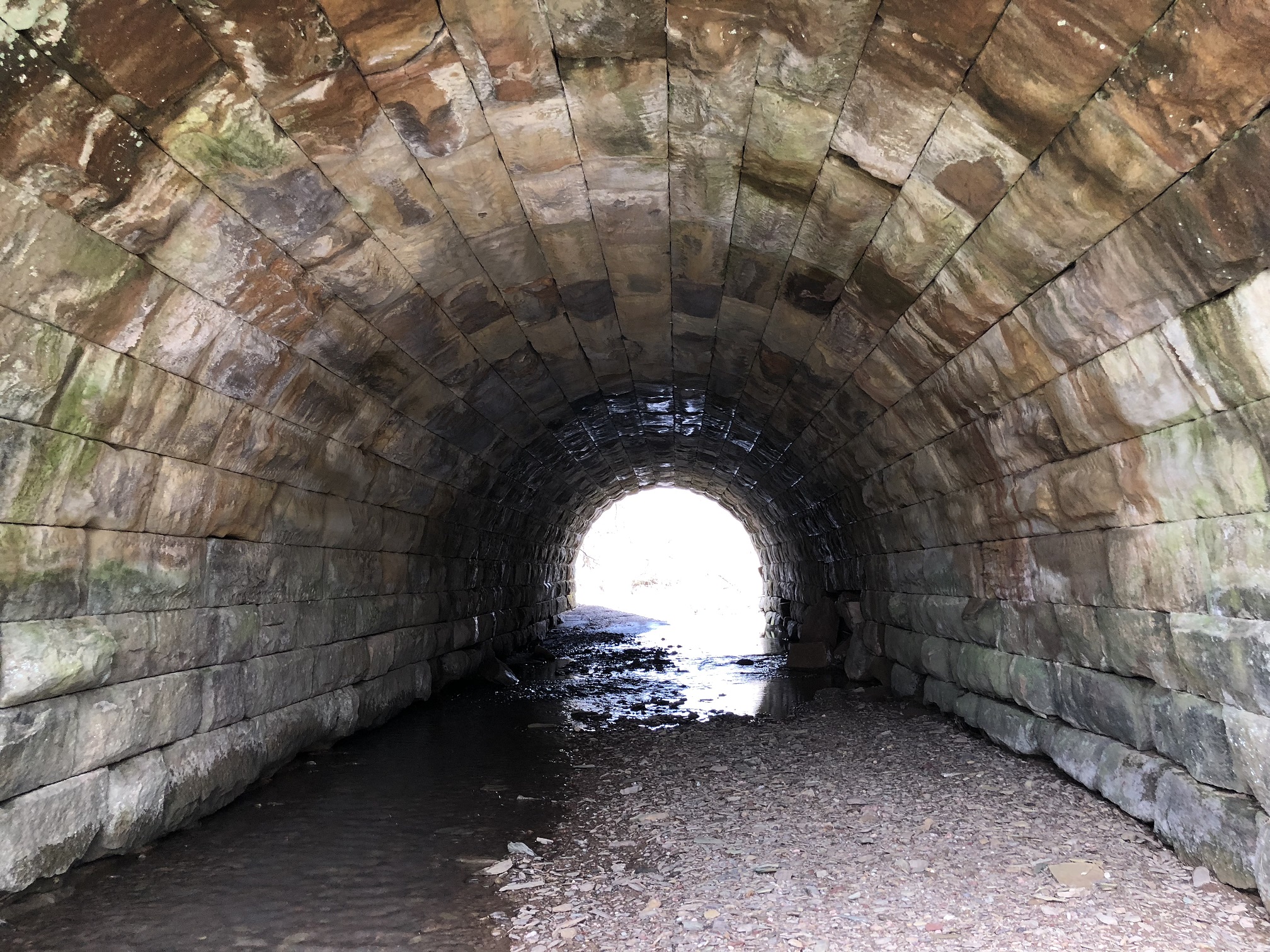 Roddy Road Tunnel April 6, 2018, looking up tunnel from southern opening