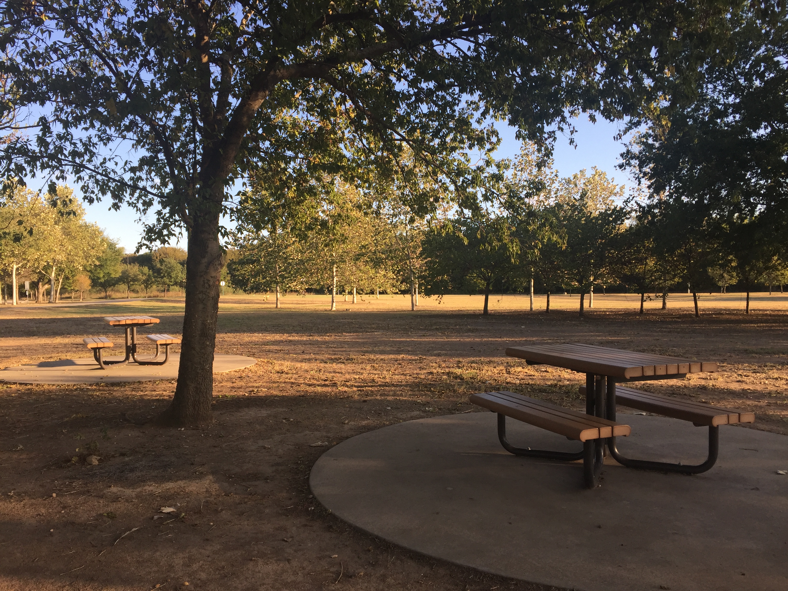Picnic area on The Great Lawn