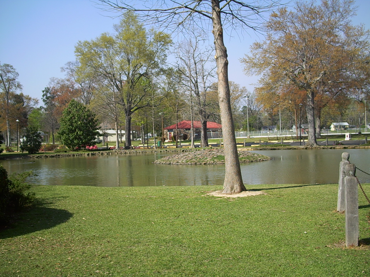 Plant, Park, Bank, Lake