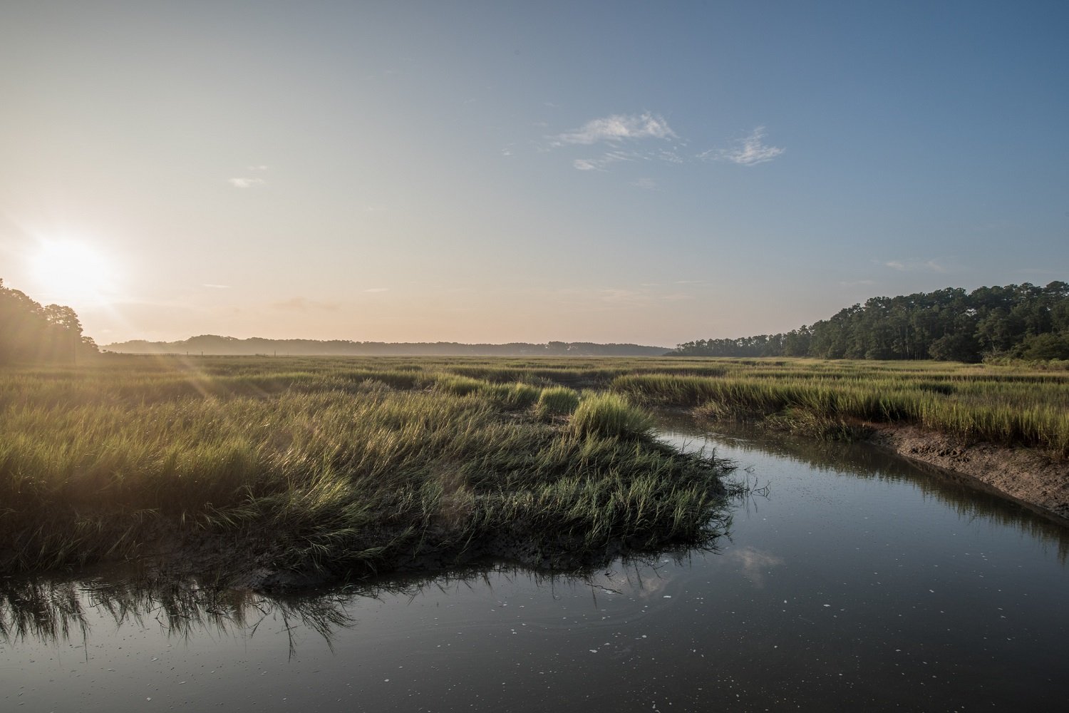 Scenery is available to view at the Vereen Memorial Historical Gardens.