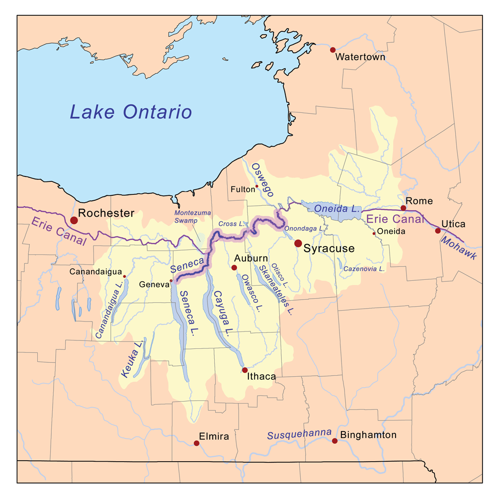 The Cayuga-Seneca Canal is located at the end of the purple line on the left.