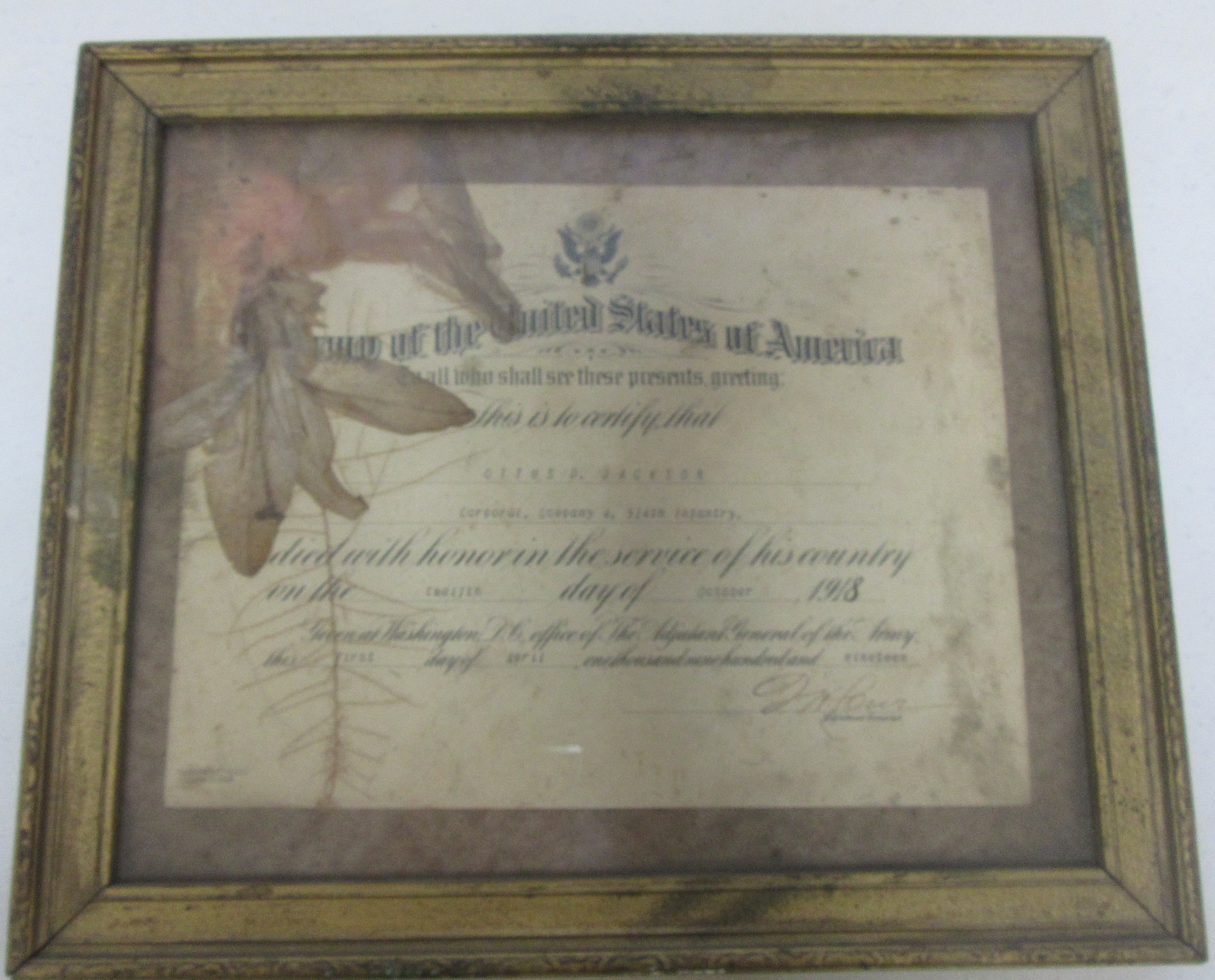 Certificate of Honorable Death - flowers from his casket are in the frame