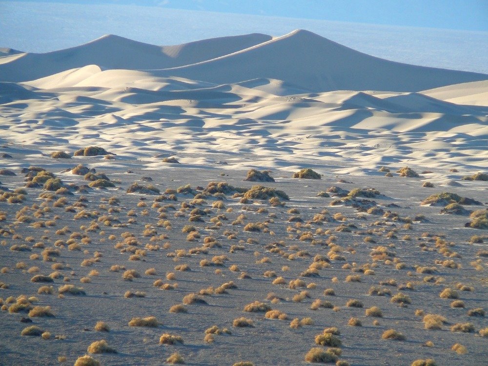 Sand dunes are one of the many natural features in the park.