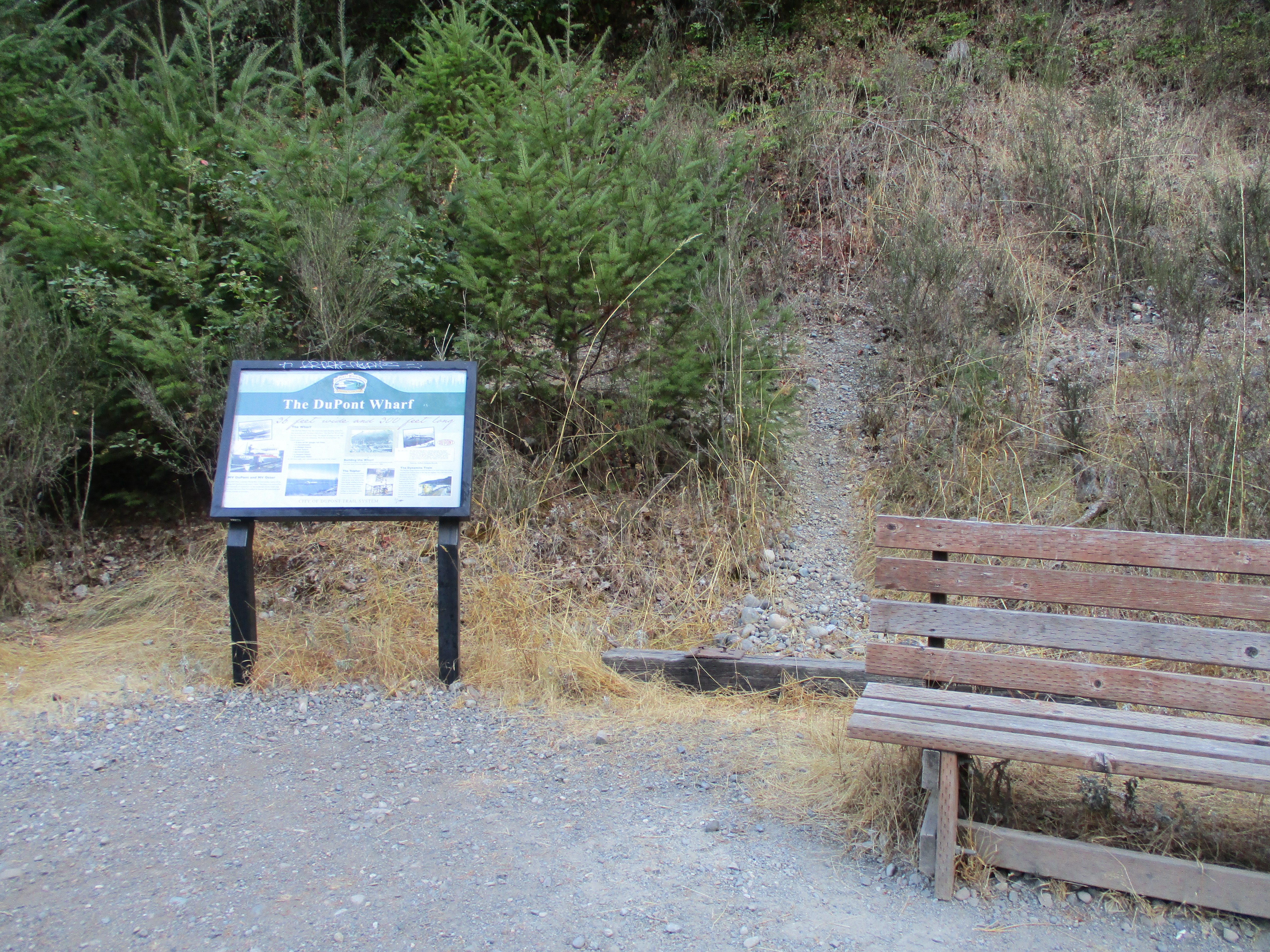 Plant, Plant community, Ecoregion, Outdoor bench