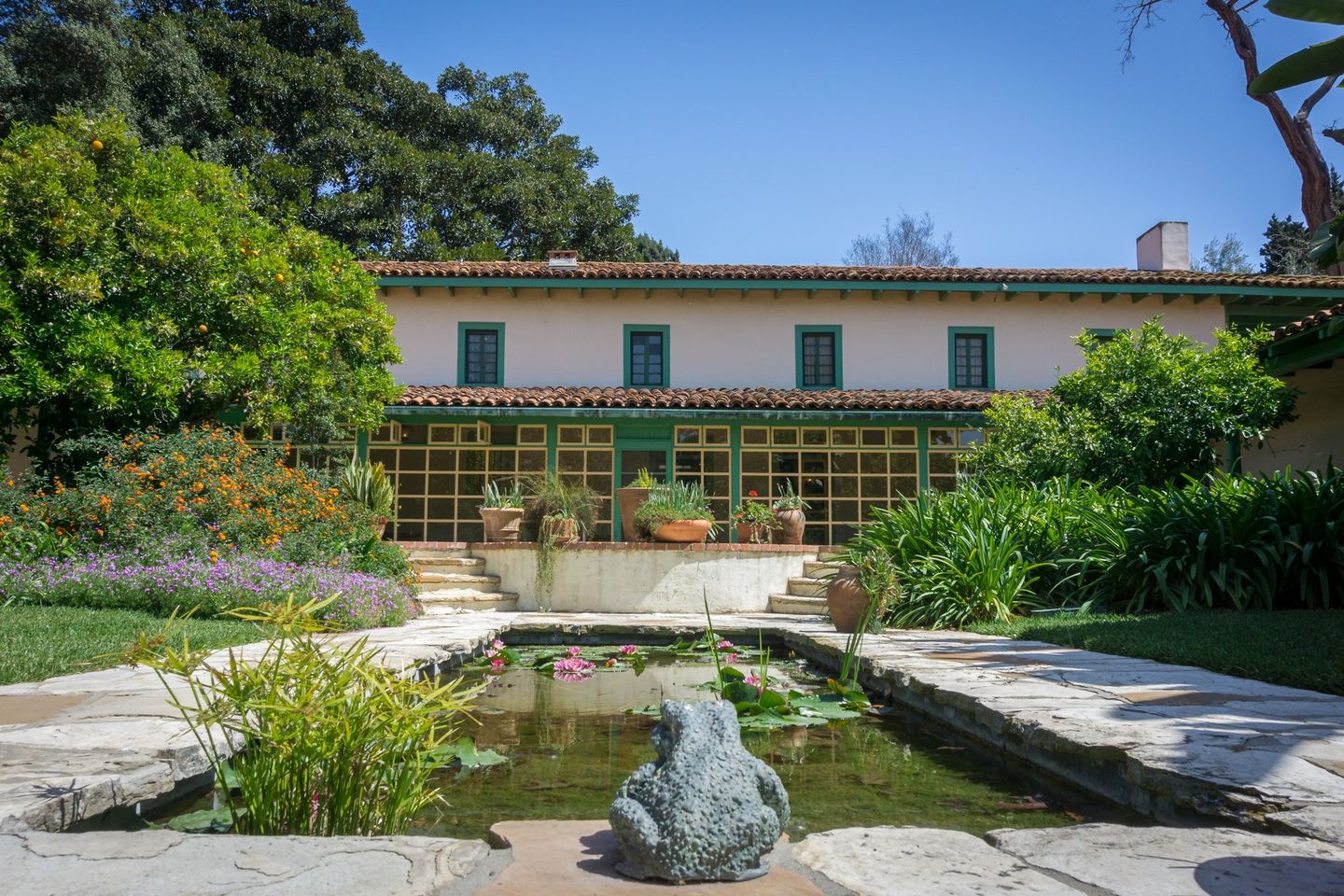 The Lily Pond