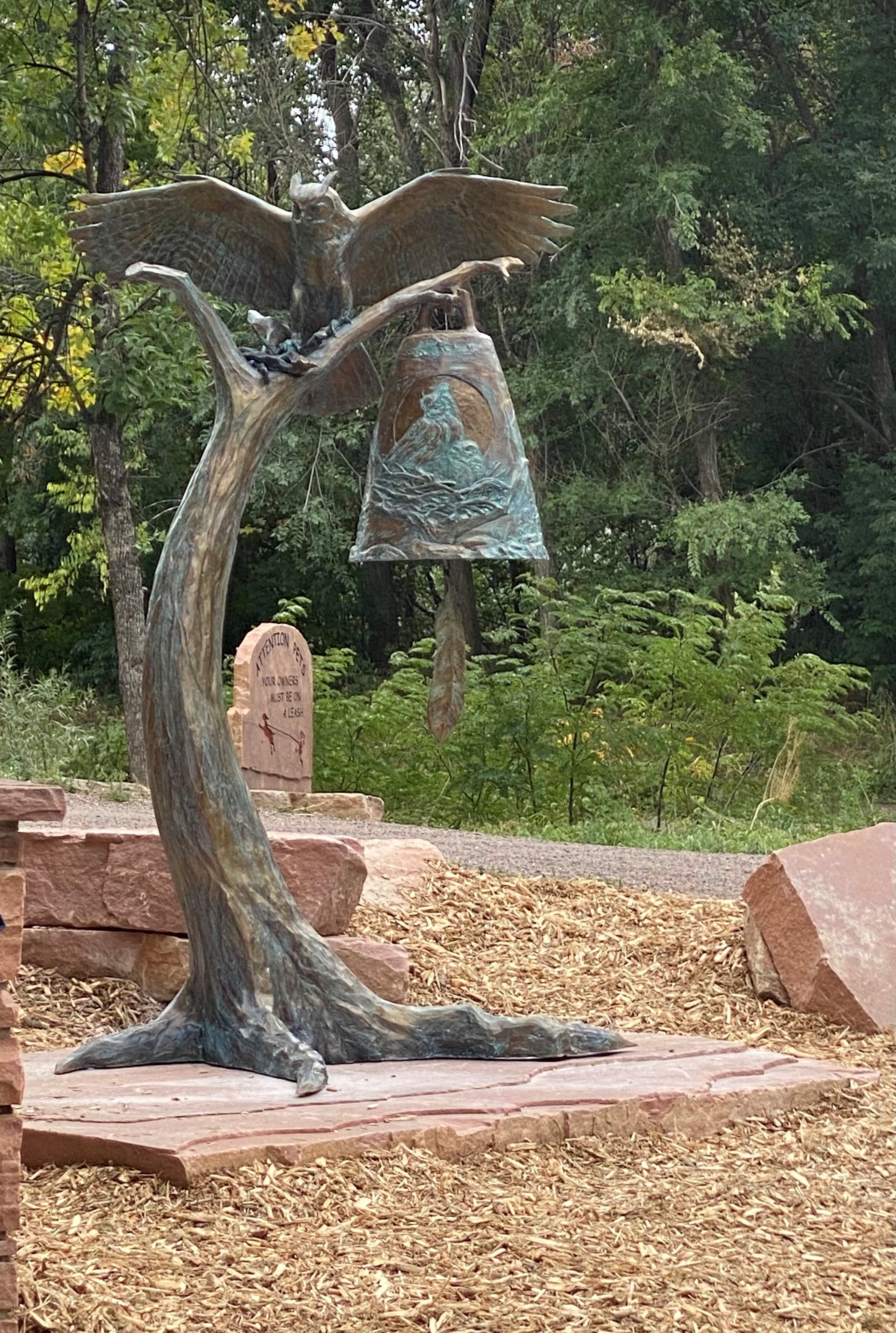 Wood, Branch, Tree, Woody plant