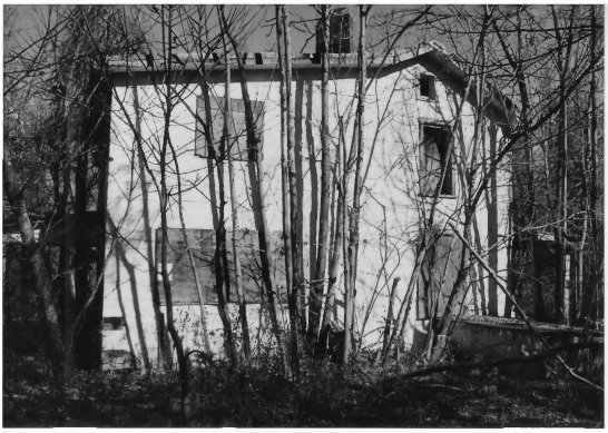 Building, Plant, Branch, Wood