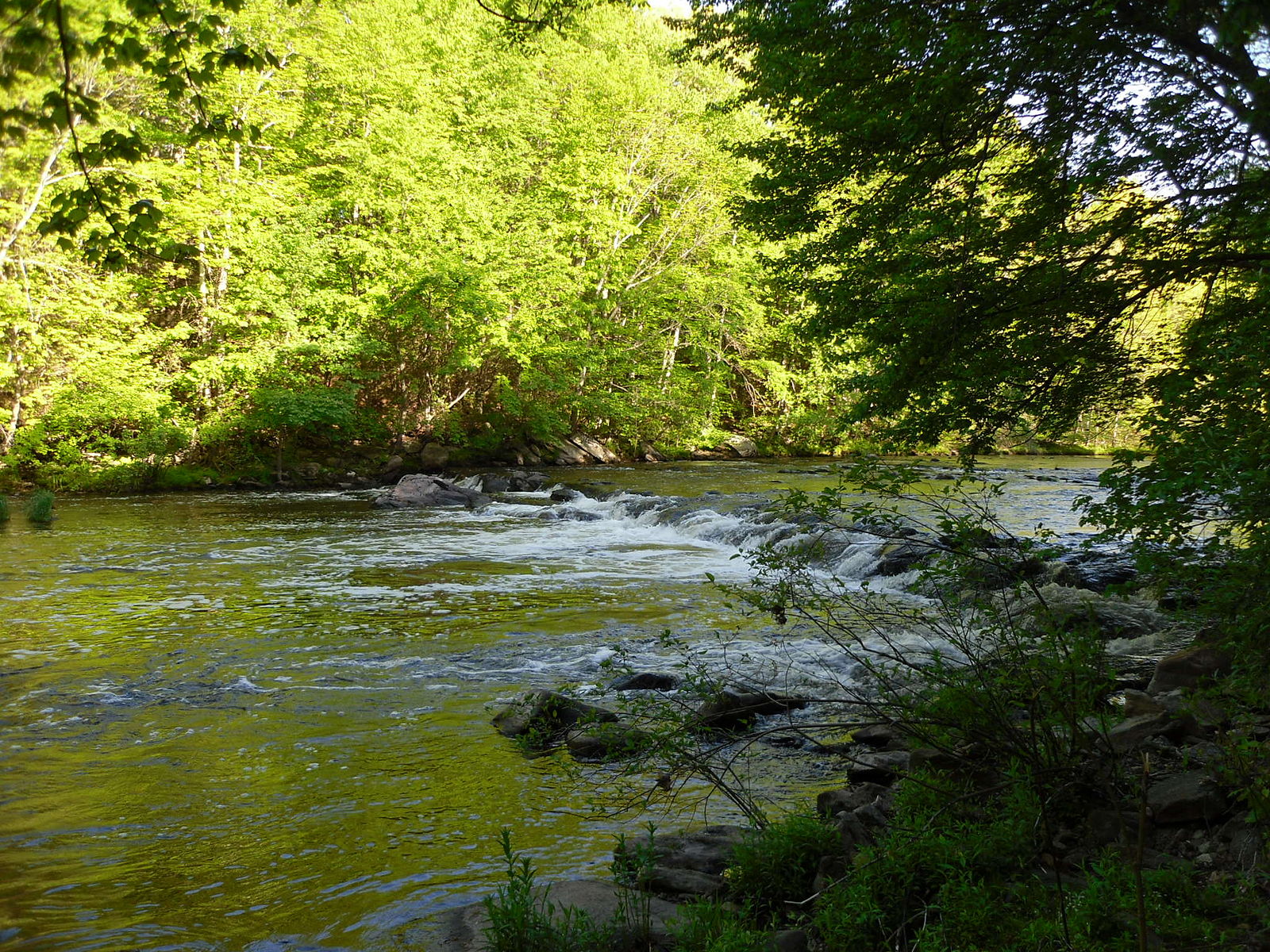 Modern-day image of the Black Stone River, located in Massachutes that is short of the Rhode Island border.