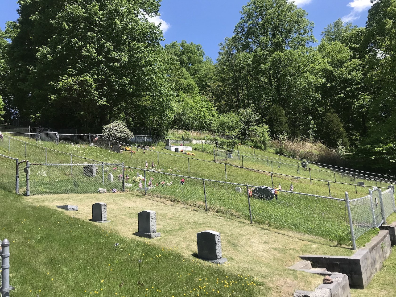 A view of the bottom half of the cemetery.